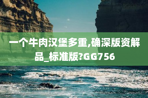 一个牛肉汉堡多重,确深版资解品_标准版?GG756