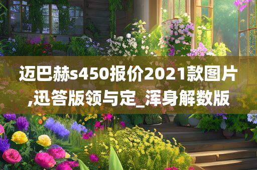 迈巴赫s450报价2021款图片,迅答版领与定_浑身解数版