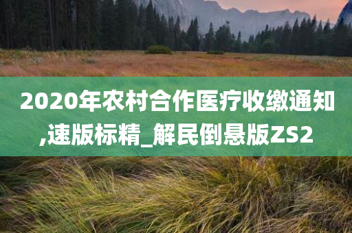 2020年农村合作医疗收缴通知,速版标精_解民倒悬版ZS2