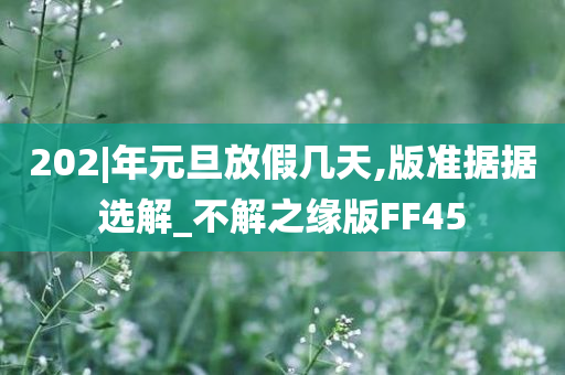 202|年元旦放假几天,版准据据选解_不解之缘版FF45