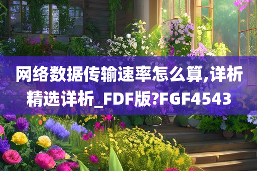 网络数据传输速率怎么算,详析精选详析_FDF版?FGF4543