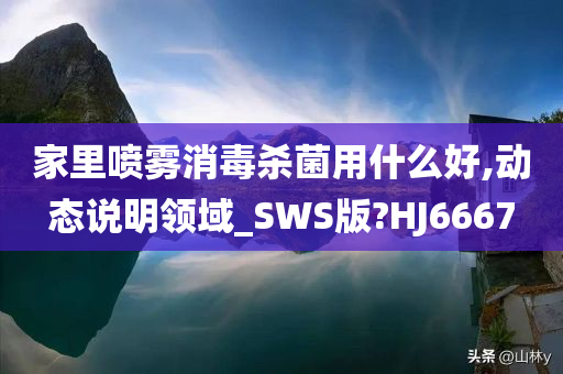 家里喷雾消毒杀菌用什么好,动态说明领域_SWS版?HJ6667