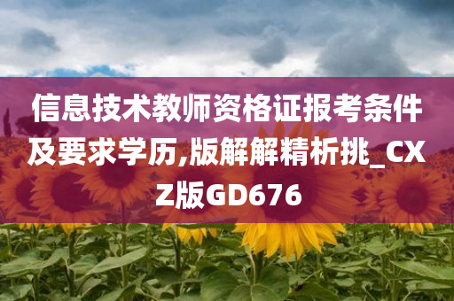 信息技术教师资格证报考条件及要求学历,版解解精析挑_CXZ版GD676