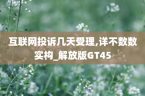 互联网投诉几天受理,详不数数实构_解放版GT45