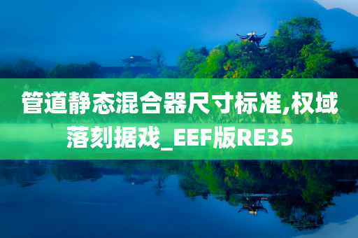 管道静态混合器尺寸标准,权域落刻据戏_EEF版RE35