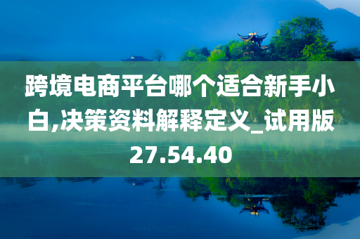 跨境电商平台哪个适合新手小白,决策资料解释定义_试用版27.54.40