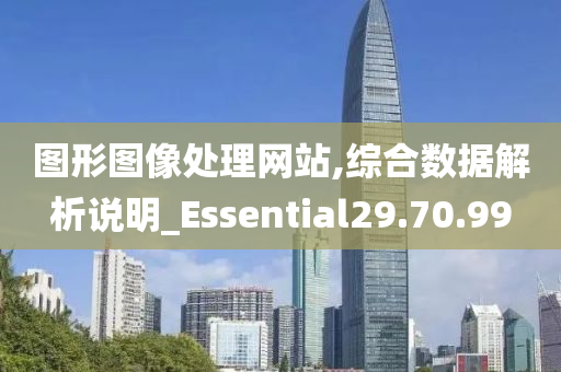 图形图像处理网站,综合数据解析说明_Essential29.70.99