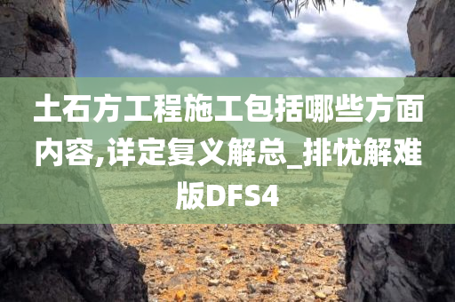 土石方工程施工包括哪些方面内容,详定复义解总_排忧解难版DFS4