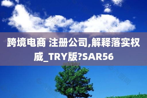 跨境电商 注册公司,解释落实权威_TRY版?SAR56