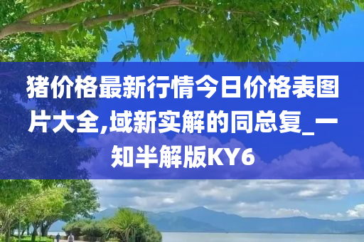 猪价格最新行情今日价格表图片大全,域新实解的同总复_一知半解版KY6