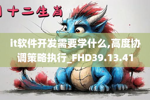 it软件开发需要学什么,高度协调策略执行_FHD39.13.41