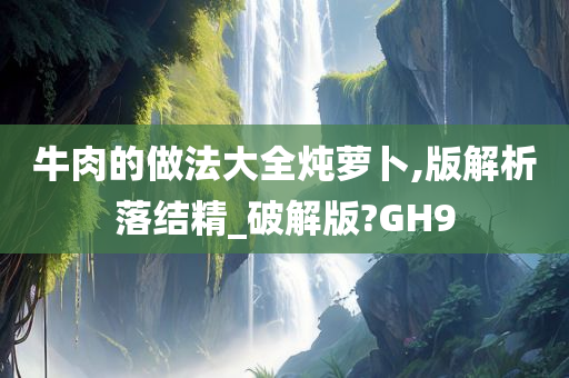 牛肉的做法大全炖萝卜,版解析落结精_破解版?GH9