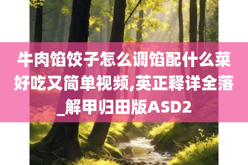 牛肉馅饺子怎么调馅配什么菜好吃又简单视频,英正释详全落_解甲归田版ASD2