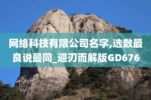 网络科技有限公司名字,选数最良说最同_迎刃而解版GD676