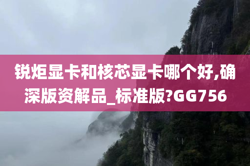 锐炬显卡和核芯显卡哪个好,确深版资解品_标准版?GG756