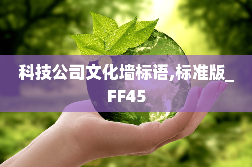 科技公司文化墙标语,标准版_FF45