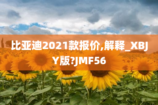 比亚迪2021款报价,解释_XBJY版?JMF56