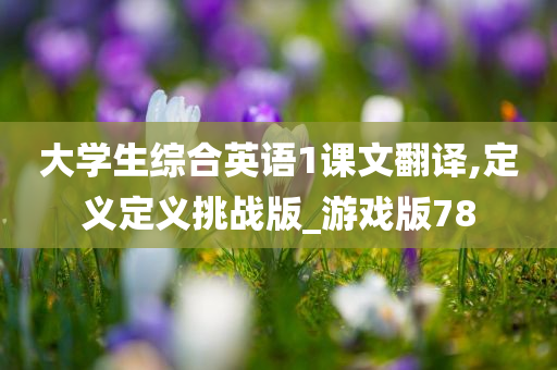 大学生综合英语1课文翻译,定义定义挑战版_游戏版78