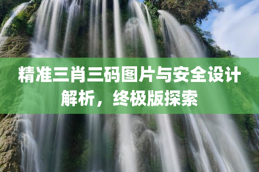 精准三肖三码图片与安全设计解析，终极版探索