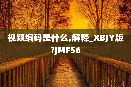 视频编码是什么,解释_XBJY版?JMF56