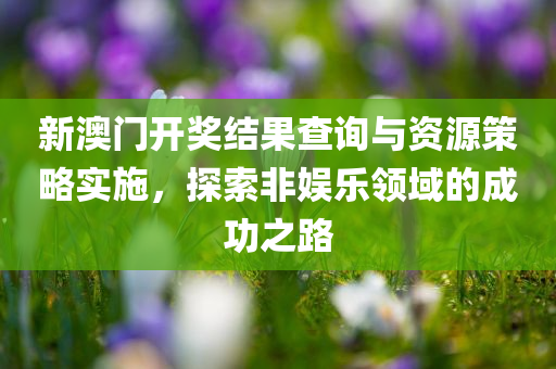 新澳门开奖结果查询与资源策略实施，探索非娱乐领域的成功之路