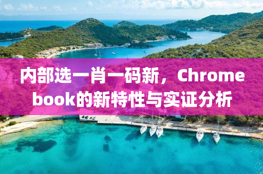 内部选一肖一码新，Chromebook的新特性与实证分析