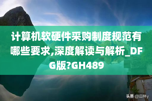 计算机软硬件采购制度规范有哪些要求,深度解读与解析_DFG版?GH489