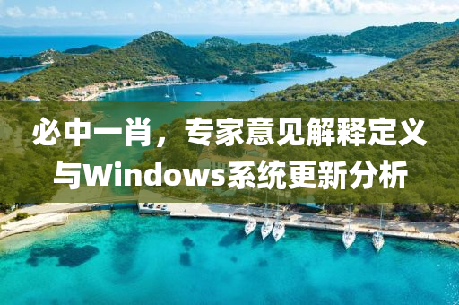 必中一肖，专家意见解释定义与Windows系统更新分析