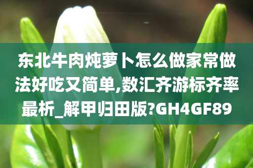 东北牛肉炖萝卜怎么做家常做法好吃又简单,数汇齐游标齐率最析_解甲归田版?GH4GF89