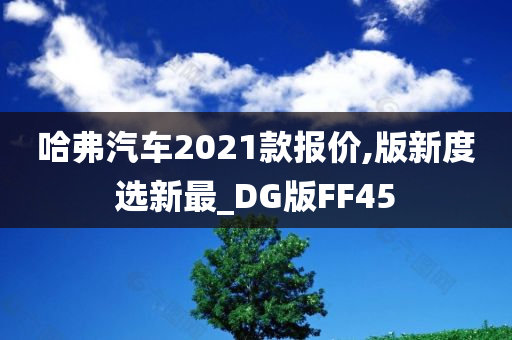 哈弗汽车2021款报价,版新度选新最_DG版FF45