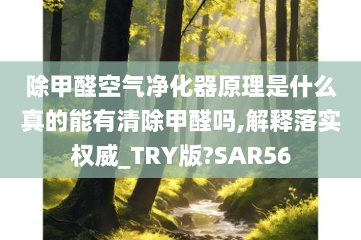 除甲醛空气净化器原理是什么真的能有清除甲醛吗,解释落实权威_TRY版?SAR56