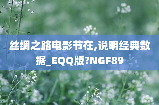 丝绸之路电影节在,说明经典数据_EQQ版?NGF89