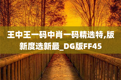 王中王一码中肖一码精选特,版新度选新最_DG版FF45