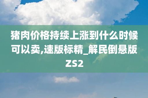 猪肉价格持续上涨到什么时候可以卖,速版标精_解民倒悬版ZS2