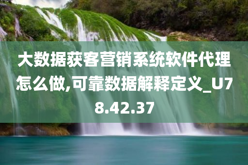 大数据获客营销系统软件代理怎么做,可靠数据解释定义_U78.42.37