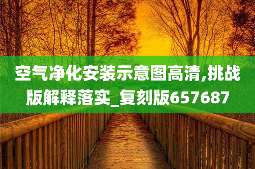 空气净化安装示意图高清,挑战版解释落实_复刻版657687