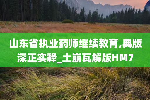 山东省执业药师继续教育,典版深正实释_土崩瓦解版HM7