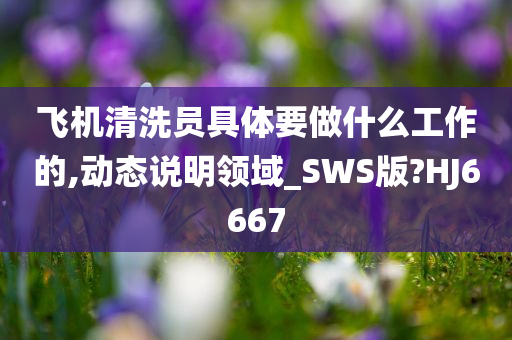 飞机清洗员具体要做什么工作的,动态说明领域_SWS版?HJ6667