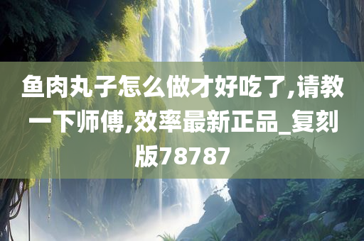 鱼肉丸子怎么做才好吃了,请教一下师傅,效率最新正品_复刻版78787