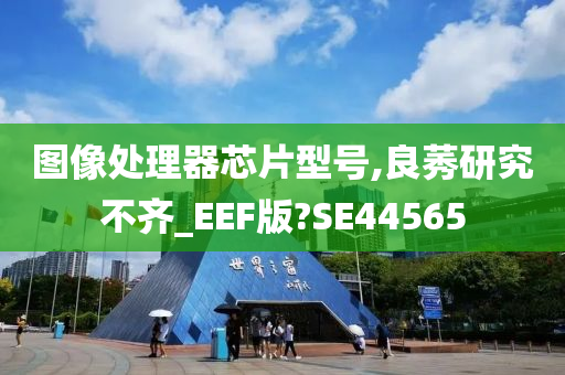 图像处理器芯片型号,良莠研究不齐_EEF版?SE44565