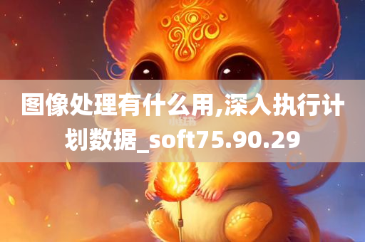 图像处理有什么用,深入执行计划数据_soft75.90.29