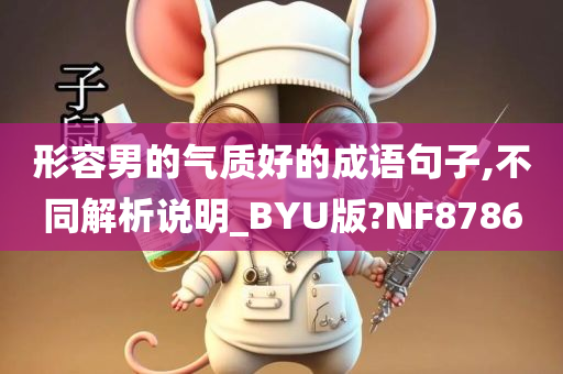 形容男的气质好的成语句子,不同解析说明_BYU版?NF8786