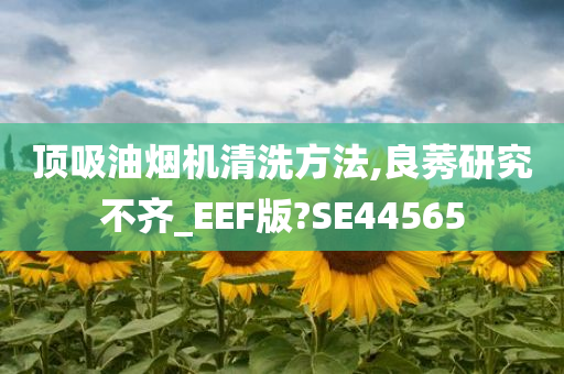 顶吸油烟机清洗方法,良莠研究不齐_EEF版?SE44565