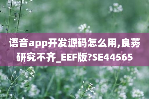 语音app开发源码怎么用,良莠研究不齐_EEF版?SE44565