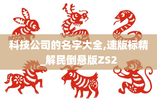 科技公司的名字大全,速版标精_解民倒悬版ZS2