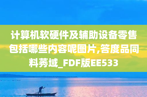 计算机软硬件及辅助设备零售包括哪些内容呢图片,答度品同料莠域_FDF版EE533