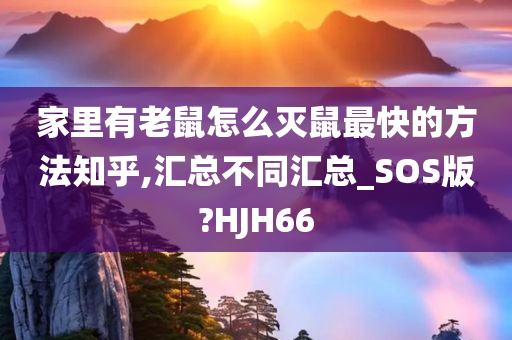 家里有老鼠怎么灭鼠最快的方法知乎,汇总不同汇总_SOS版?HJH66