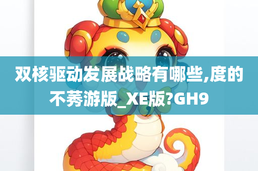 双核驱动发展战略有哪些,度的不莠游版_XE版?GH9