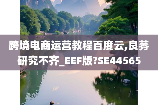 跨境电商运营教程百度云,良莠研究不齐_EEF版?SE44565