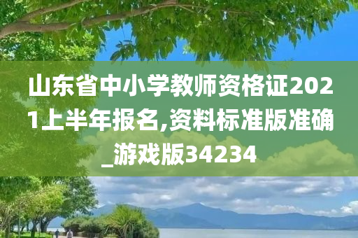 山东省中小学教师资格证2021上半年报名,资料标准版准确_游戏版34234